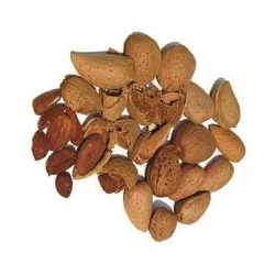 Allergy to Nuts Allergy to Nuts