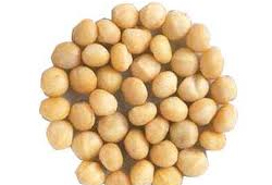 Bulk Macadamia Nuts