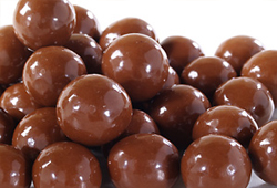 Chocolate Covered Macadamia Nuts