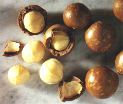 Macadamia Nuts Macadamia Nuts