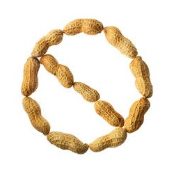 Nut Allergy Nut Allergy