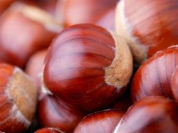 Nuts for Sale Nuts for Sale