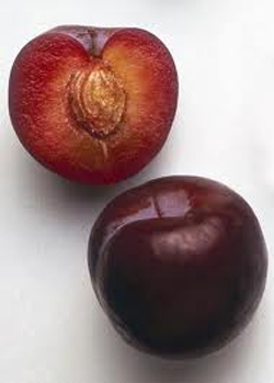 Tree Nut Allergy Tree Nut Allergy