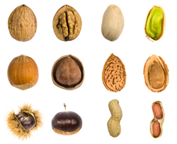 Types of Nuts