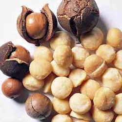 Wholesale Macadamia Nuts
