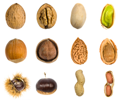 Types of Nuts - Nuts